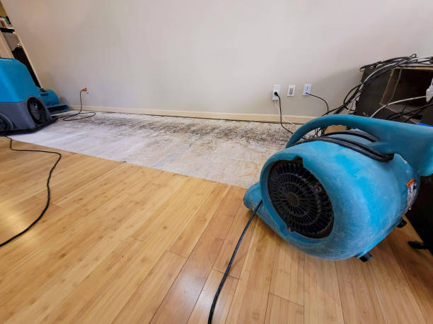 Professional Water Removal technician working in Maxwell, TX